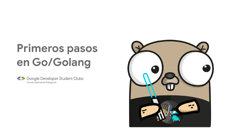 Primeros pasos con Go/Golang